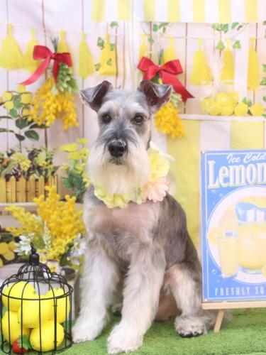 20240413小鉄くん